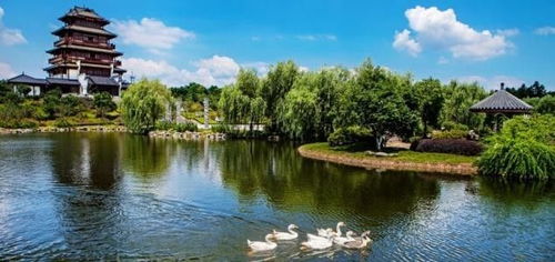 心動(dòng)之旅！僅99元，12月3日韶山、花明樓純玩一日游，開(kāi)啟紅色文化體驗(yàn)