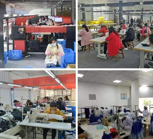 山陽縣寧陜勞務協作服務中心揭牌 校企合作共促就業新篇章