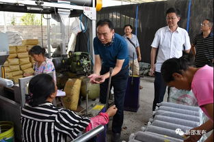 張家界市考察團蒞臨新邵，共探勞務經紀人與扶貧車間發展新路徑